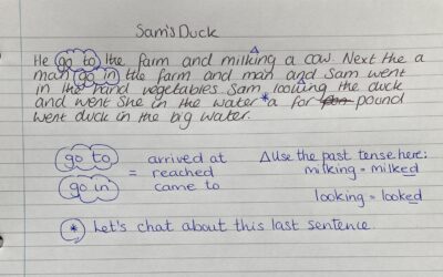 Feedback for EAL Learners: Closing the Covid Catch-up Gap
