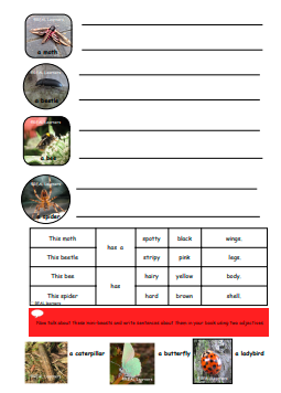 Unit 3_adjectives_6a
